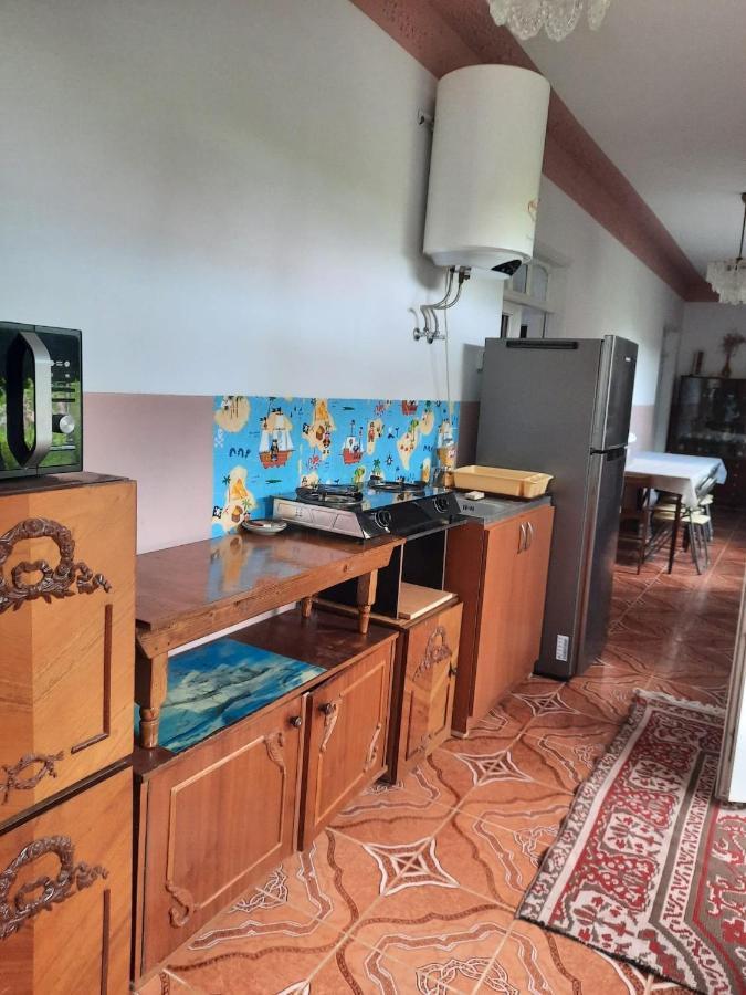 Pensiunea Ira Jurilovca Bagian luar foto